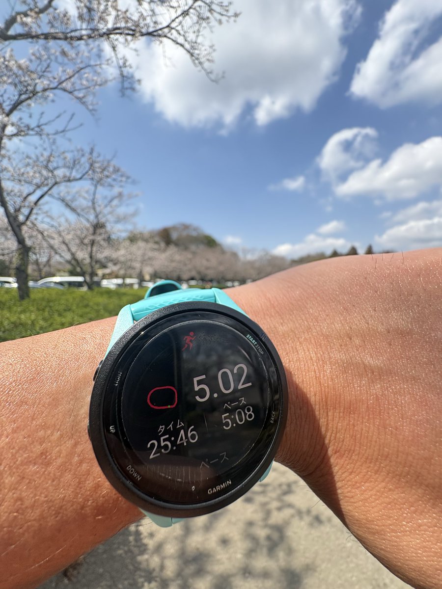 サトル@持久力強化中 tweet media