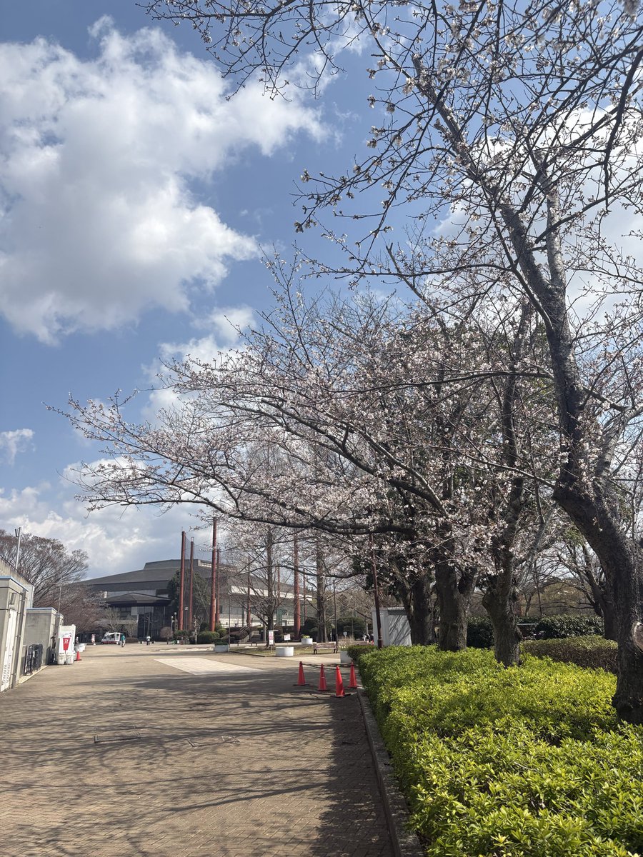 サトル@持久力強化中 tweet media