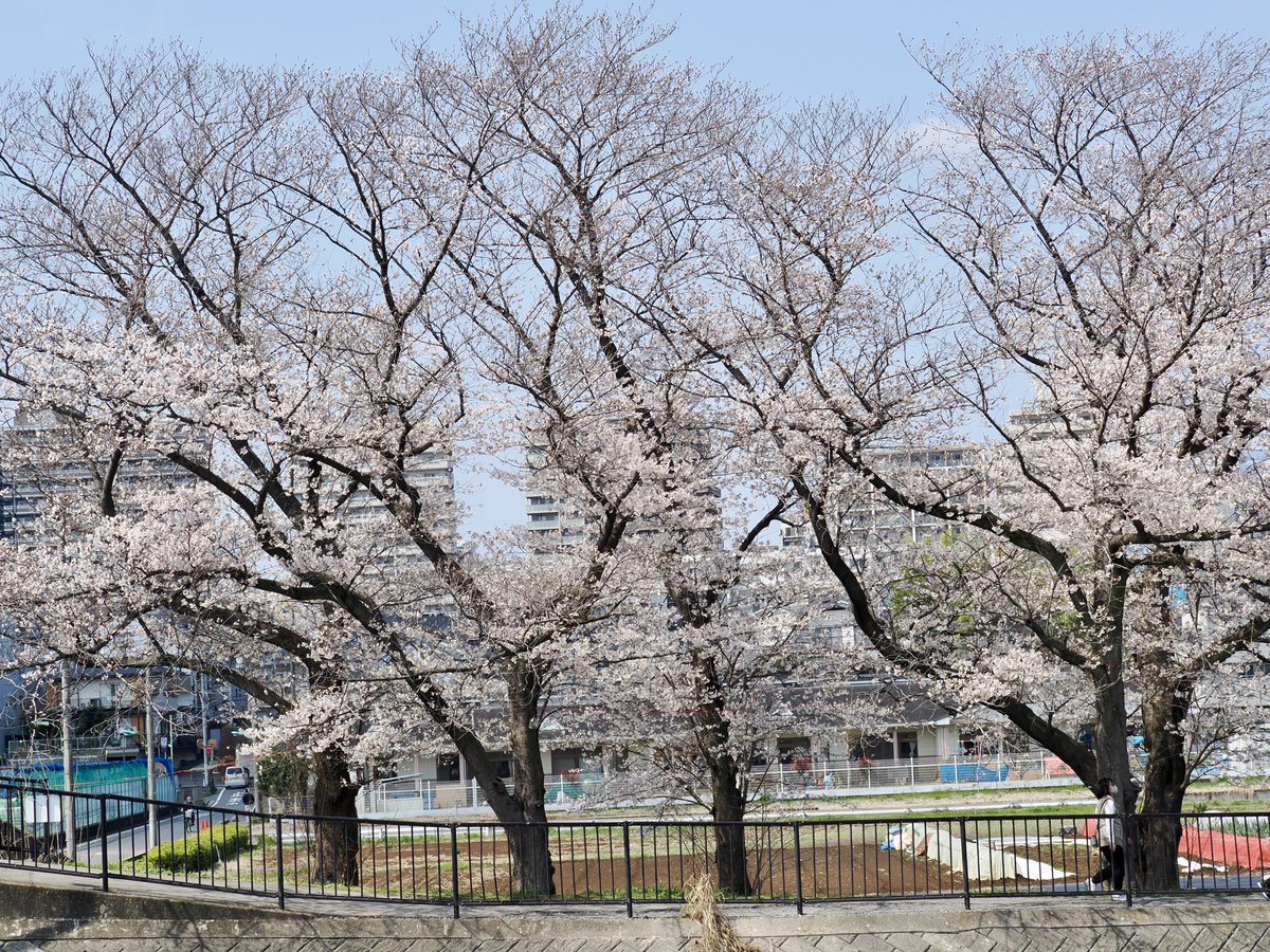 take@イベント参加メインで活動します。多忙のためスタジオのお誘いはお受けしていません。 tweet media