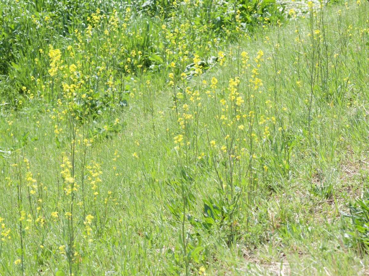 take@イベント参加メインで活動します。多忙のためスタジオのお誘いはお受けしていません。 tweet media