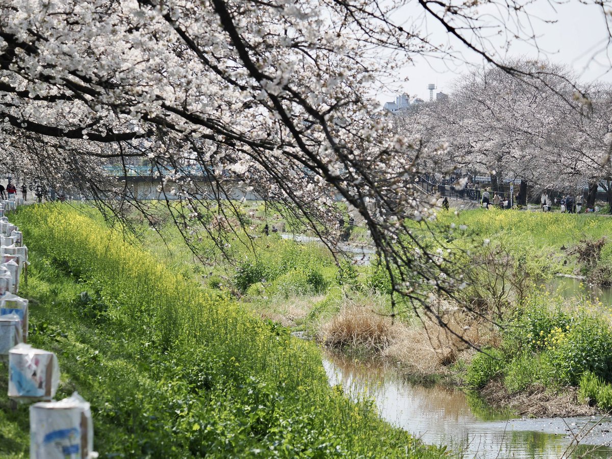 take@イベント参加メインで活動します。多忙のためスタジオのお誘いはお受けしていません。 tweet media