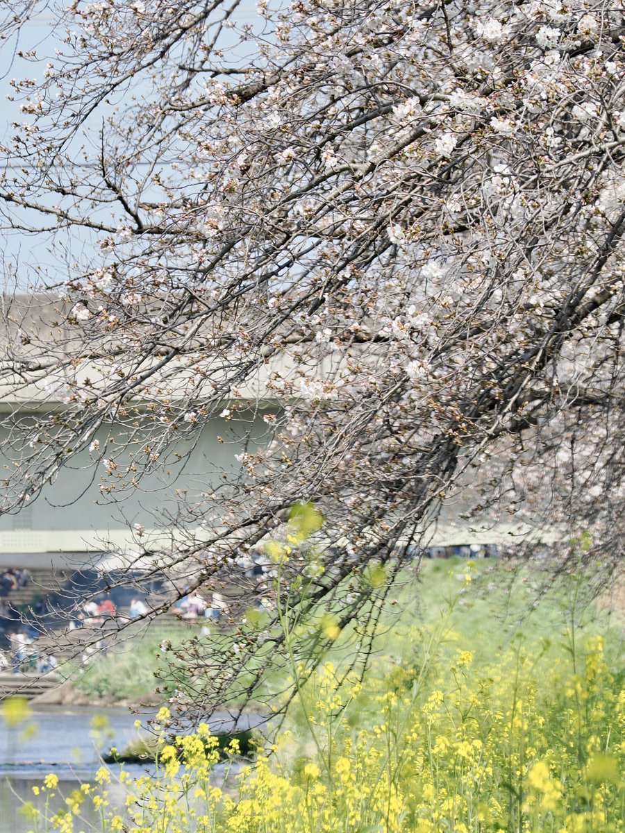 take@イベント参加メインで活動します。多忙のためスタジオのお誘いはお受けしていません。 tweet media