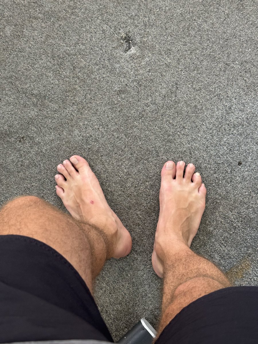 MFootys's tweet photo. they're getting dirty, who's going to clean them? 👅#feet #feetfetısh #piedi #gym #feetgym #noshoes #barefeet https://t.co/05KjHszkNY