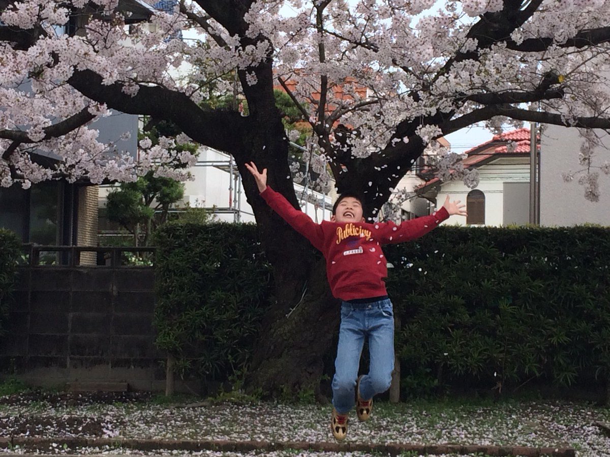 ロフ🎭もみあげ太郎🎭公式【羅湖】(米国株、フランス株、中国株、香港株、日本株) tweet media