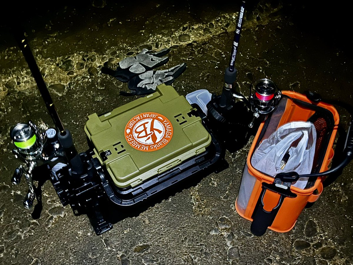 ꧁ AL_madengi ꧂ tweet media