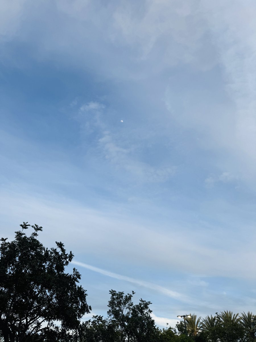 캘리로하 tweet media