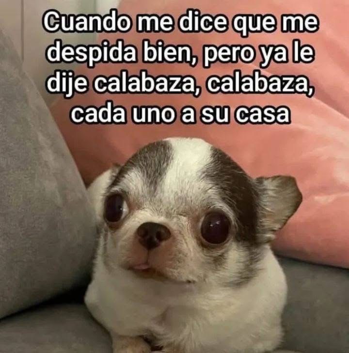 Si ya me despedí.