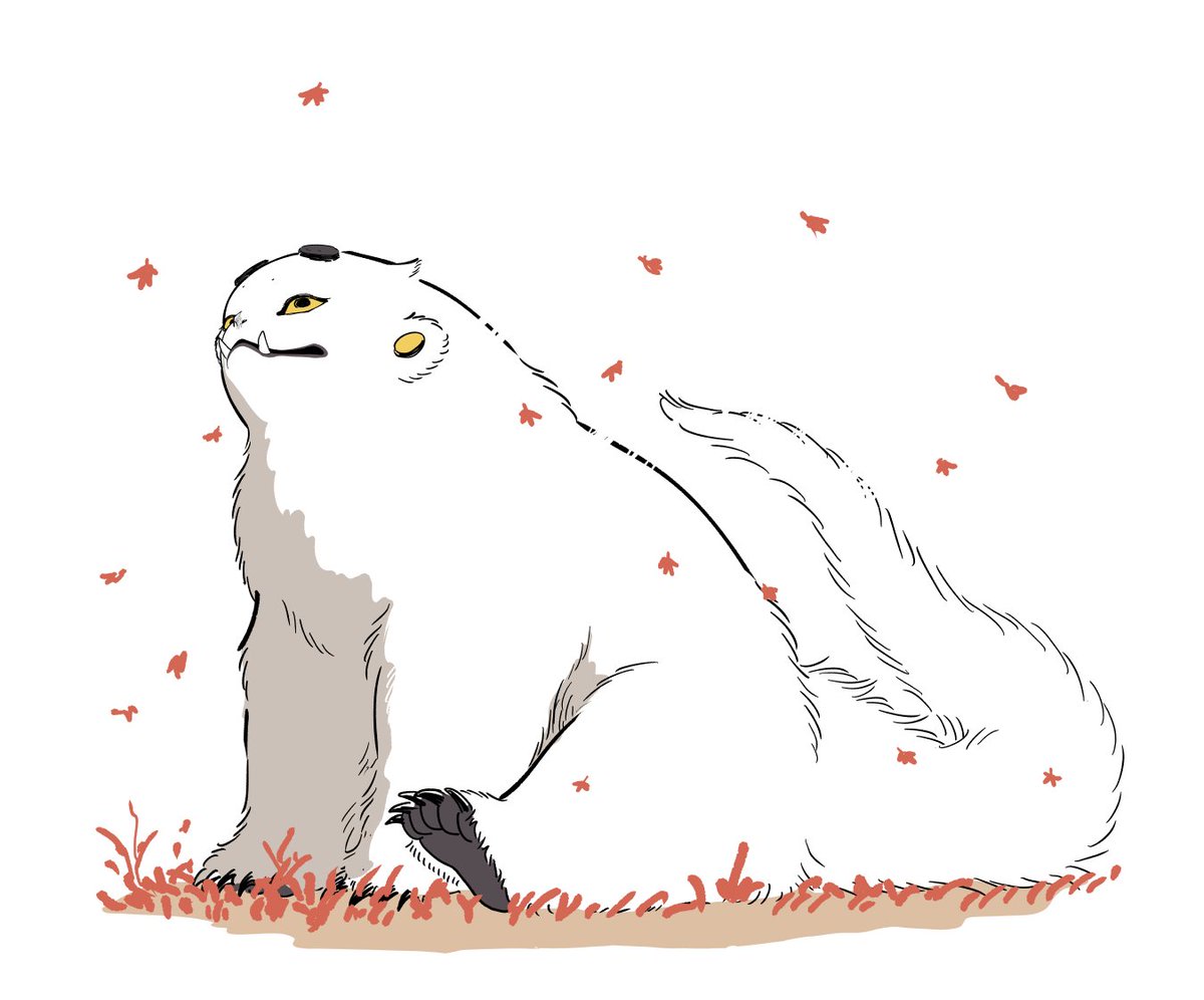 フ ィ ビ 鳥 tweet media