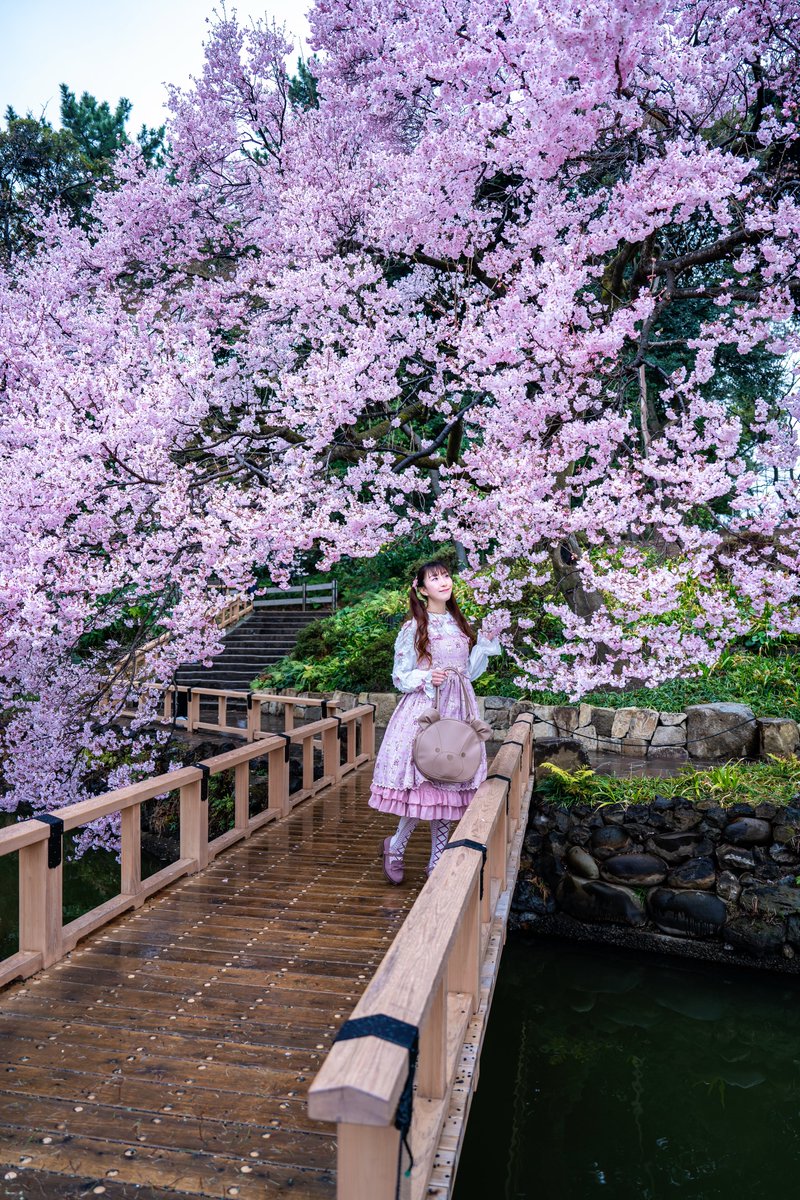 えびたん tweet media