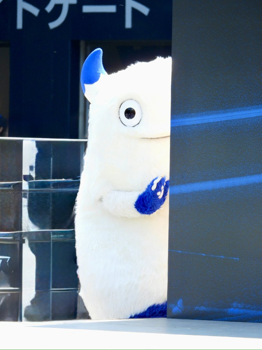 🟡🦭 tweet media