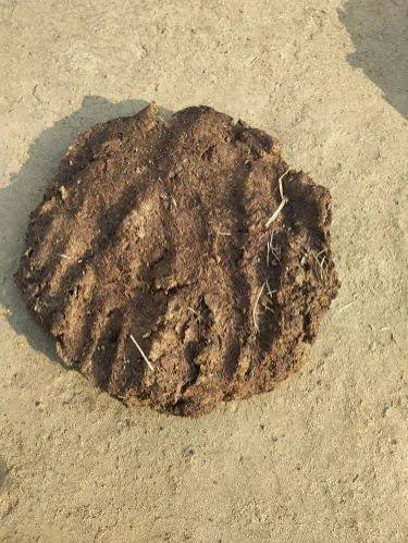 ᴛʀᴏʟʟɪɴɢ ɪꜱ ᴀɴ ᴀʀᴛ tweet media