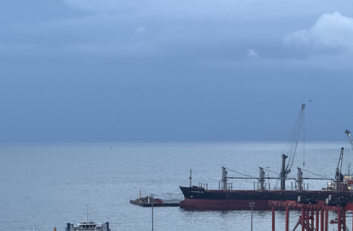 Selcan Taşçı tweet media