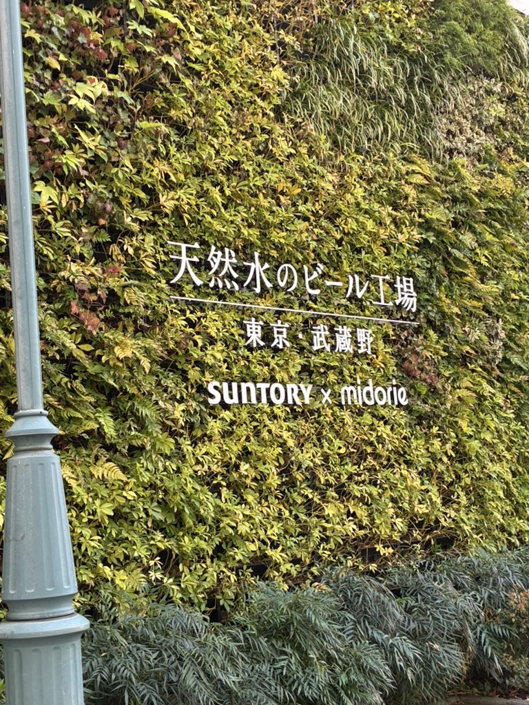 和也 tweet media