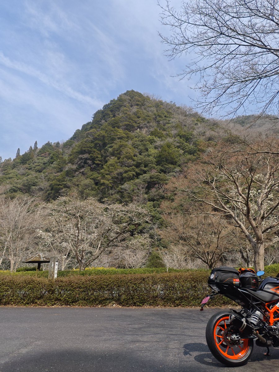 マエダ・マン🏍️💨 tweet media