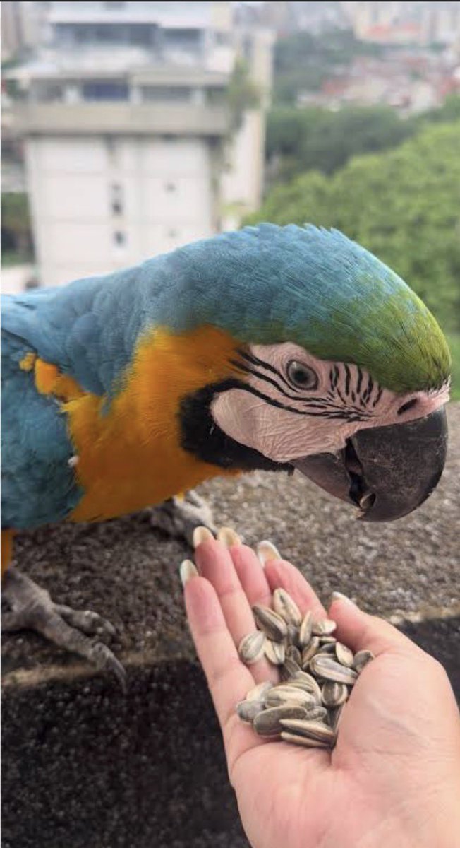 Esteban Trapiello tweet media