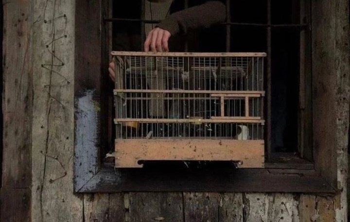 ROJBEYAN tweet media