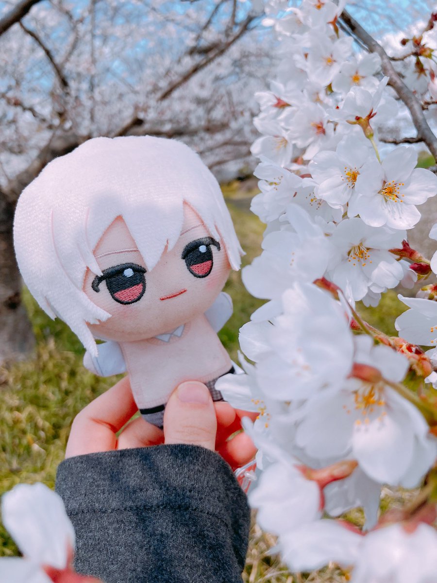 ❣️ガヴ❣️ tweet media