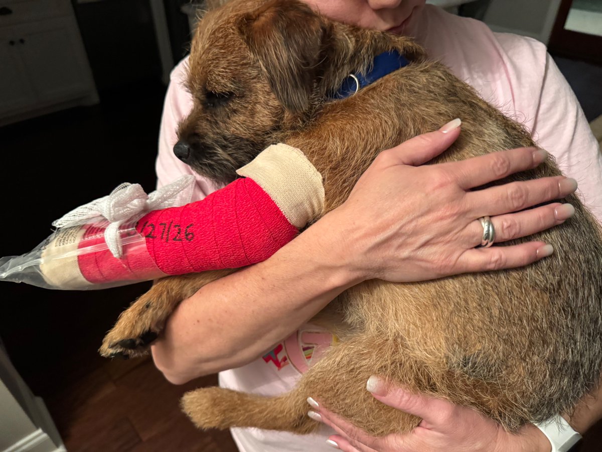 Marshall Ramsey ✏️ tweet media