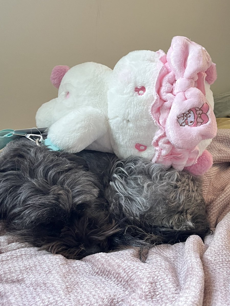 ๋ถํ์ง๋ฐ๐ tweet media