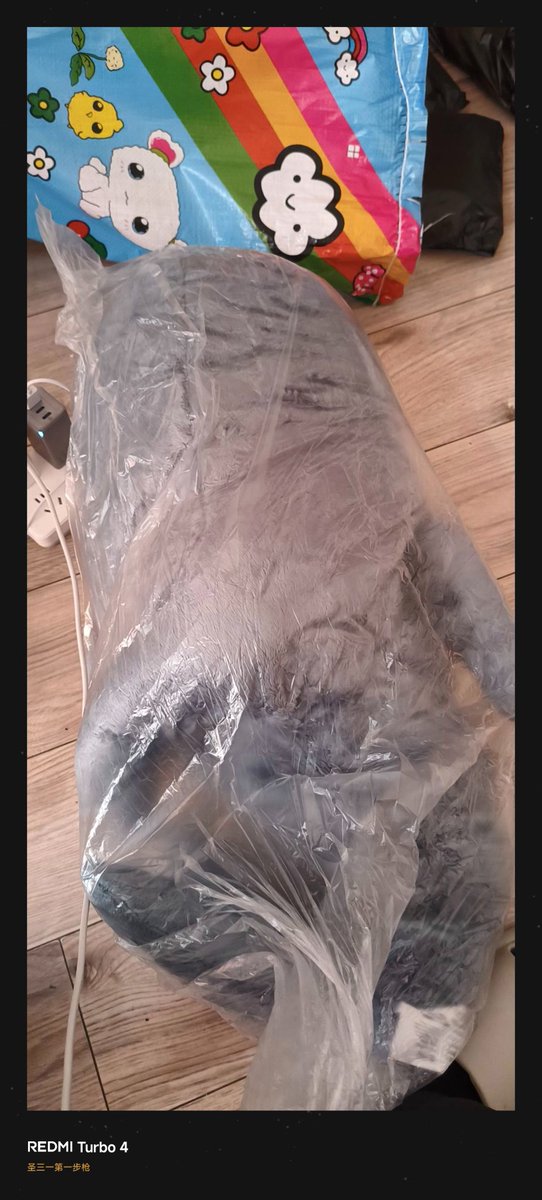 ❄️❄️圣三一第一步枪 vanitas 🍥 💊 tweet media