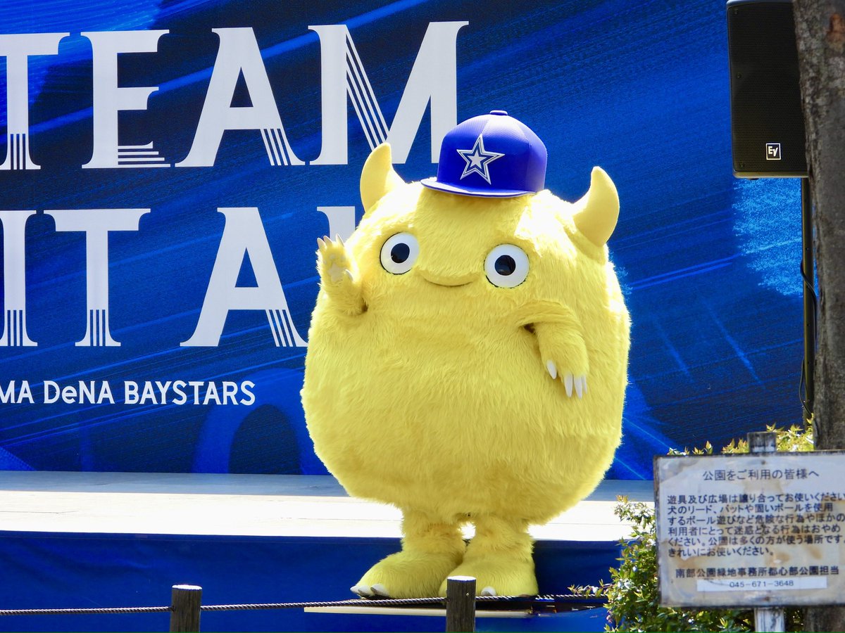 🟡🦭 tweet media