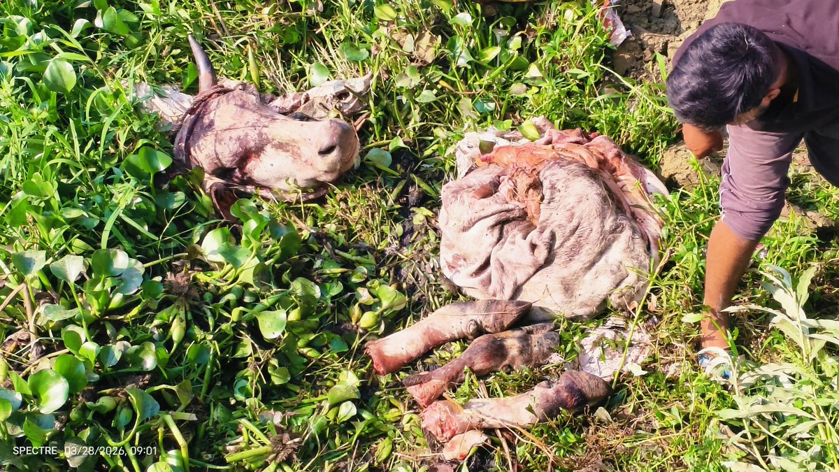 पत्रकार विष्णु शर्मा मीडिया प्रभारी tweet media