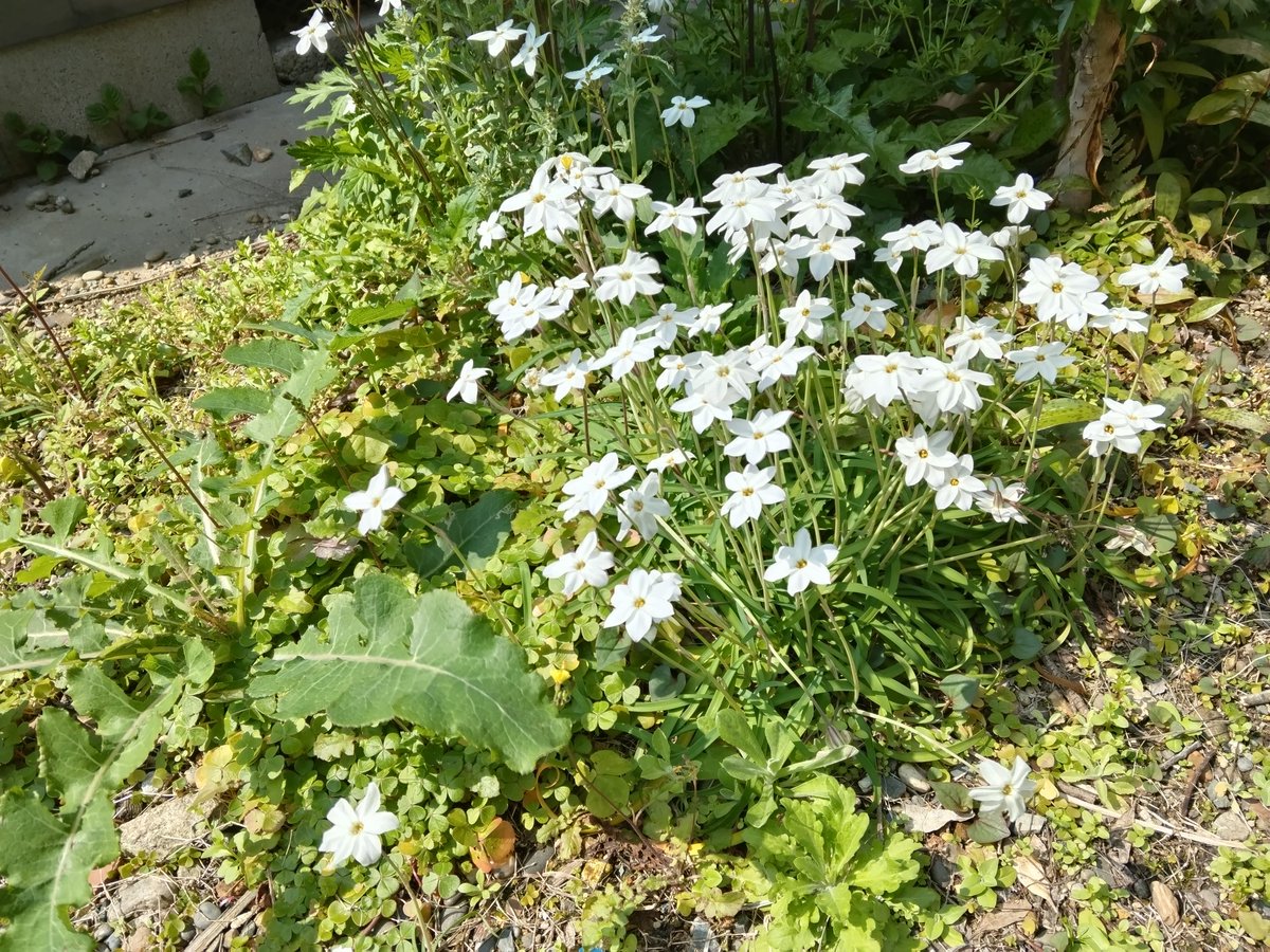 北川国彦 tweet media