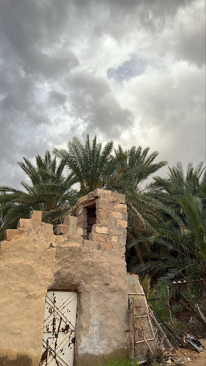 هاء وحرف نداء tweet media