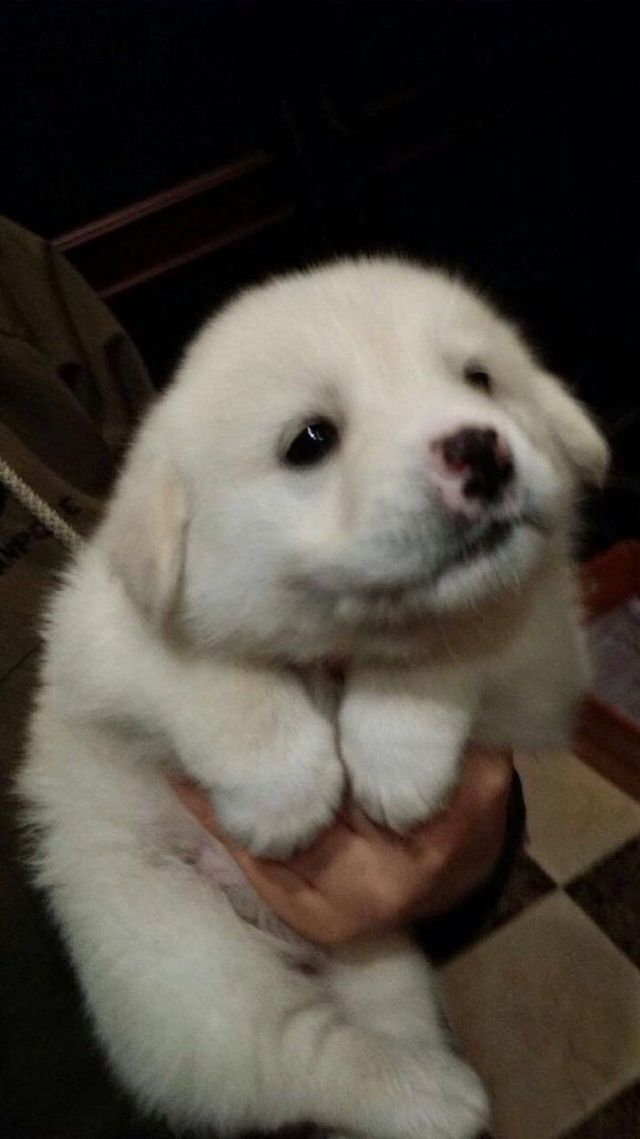 임쟈² tweet media