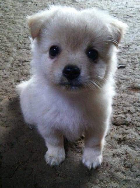 임쟈² tweet media