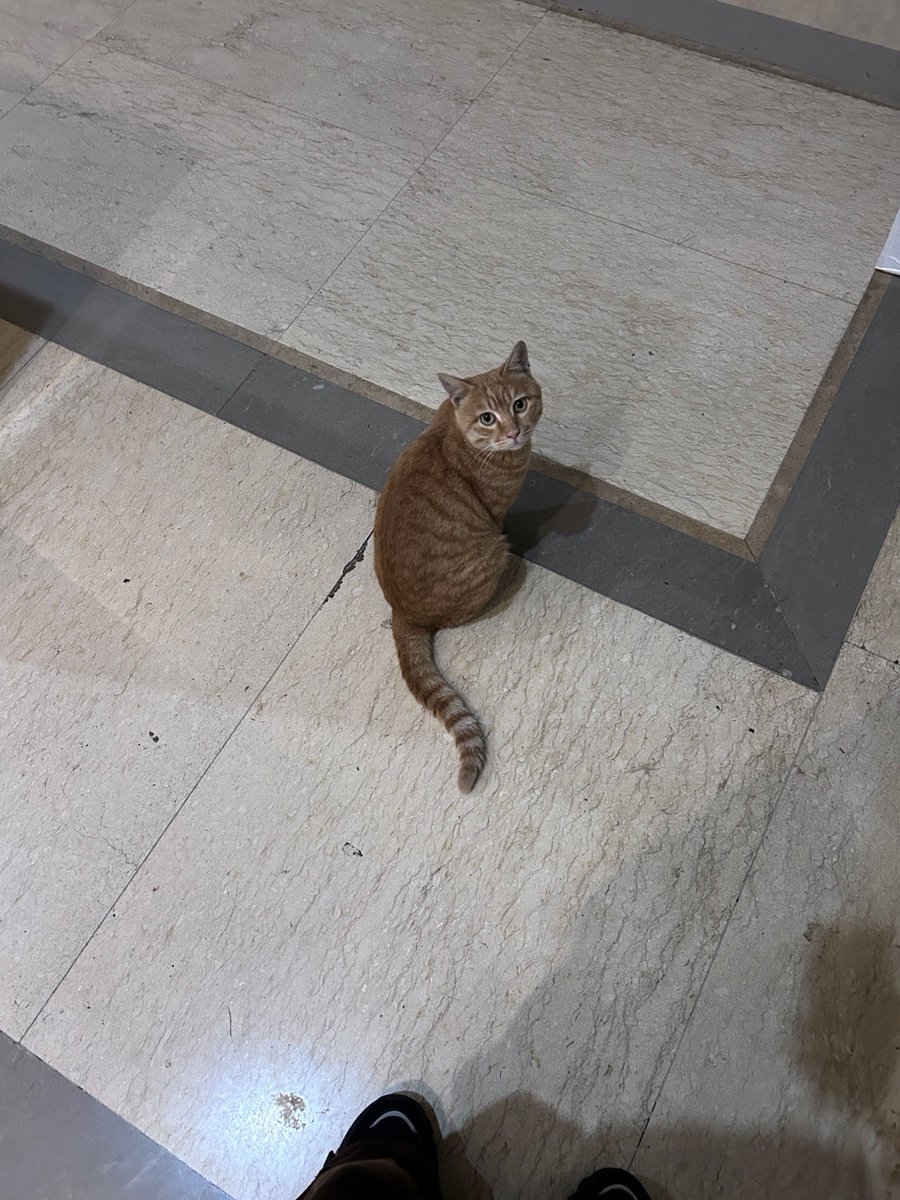 David Burns tweet media