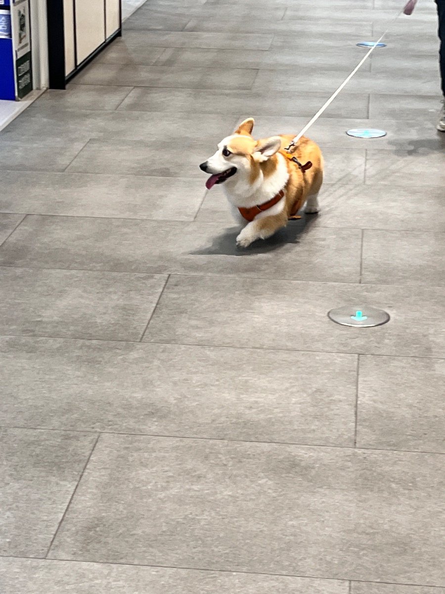 Kylie Lovett tweet media