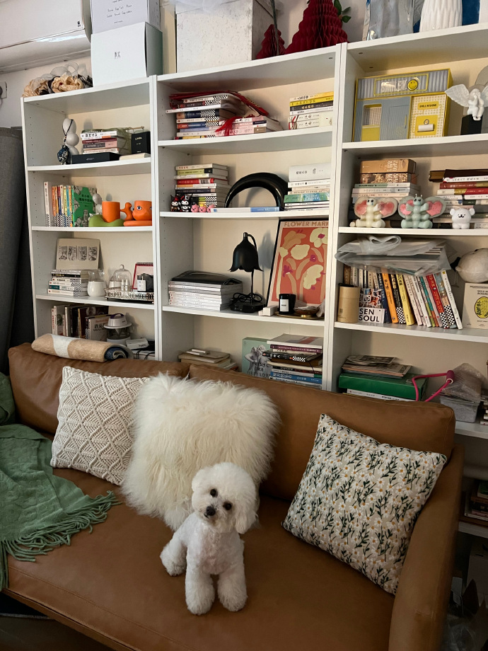 Dvom ❤️ Memecoin tweet media