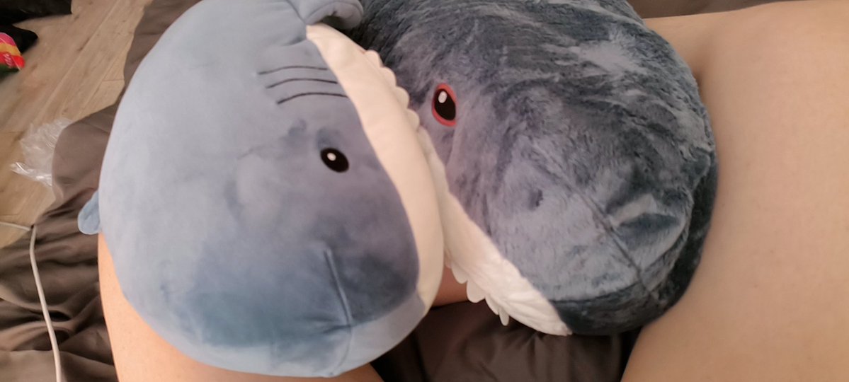 ❄️❄️圣三一第一步枪 vanitas 🍥 💊 tweet media