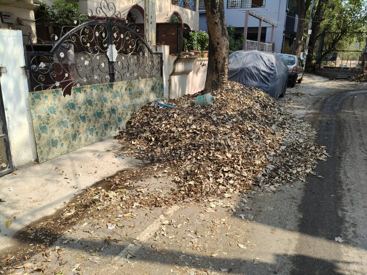 Janhavi Desai tweet media