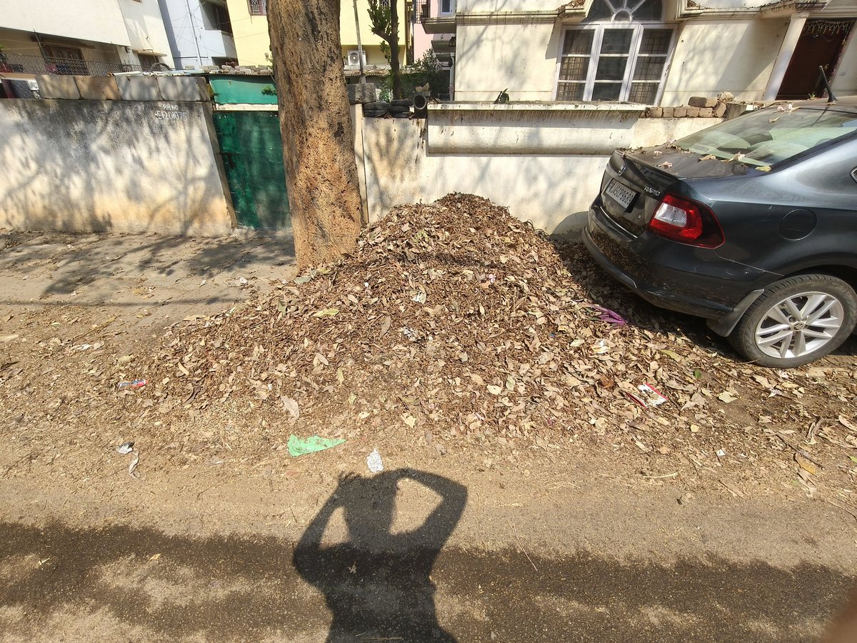 Janhavi Desai tweet media