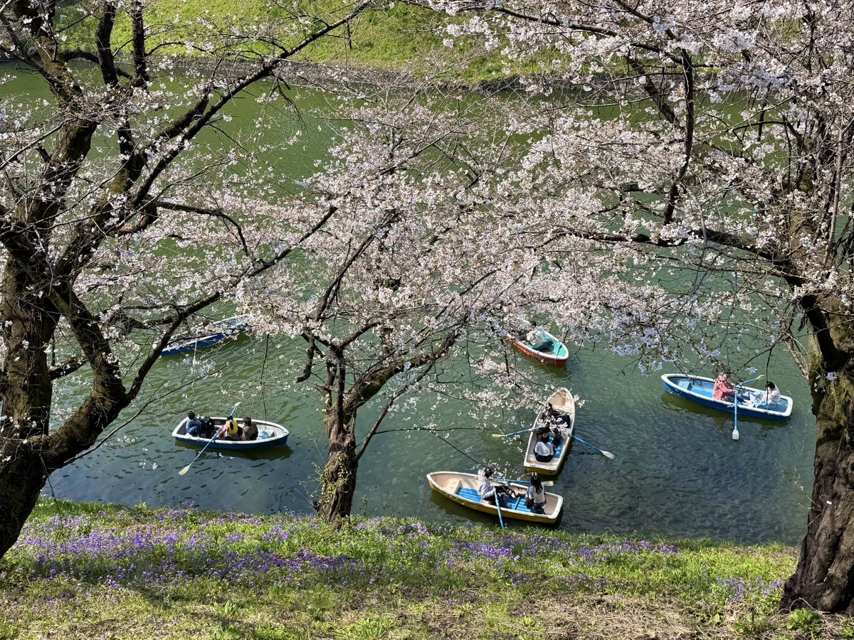 Tokyo Scapes📷 tweet media