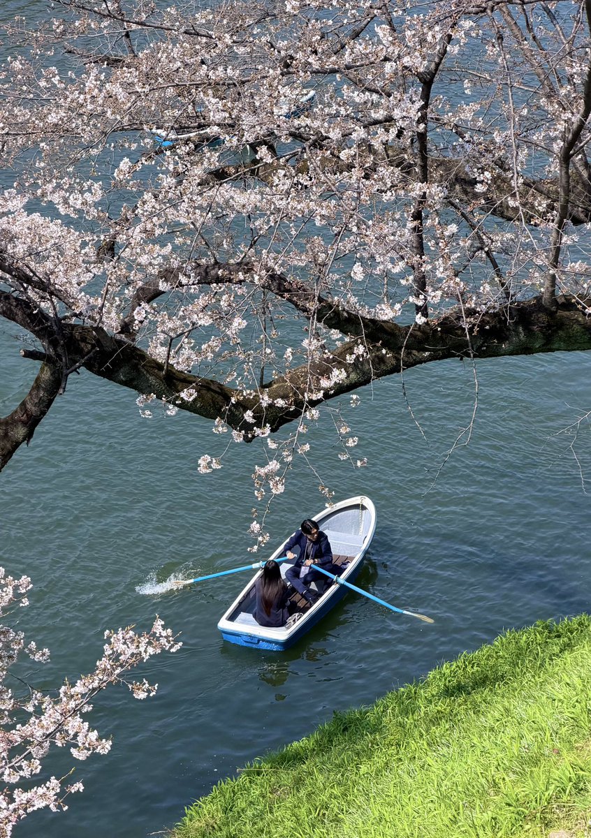 Tokyo Scapes📷 tweet media