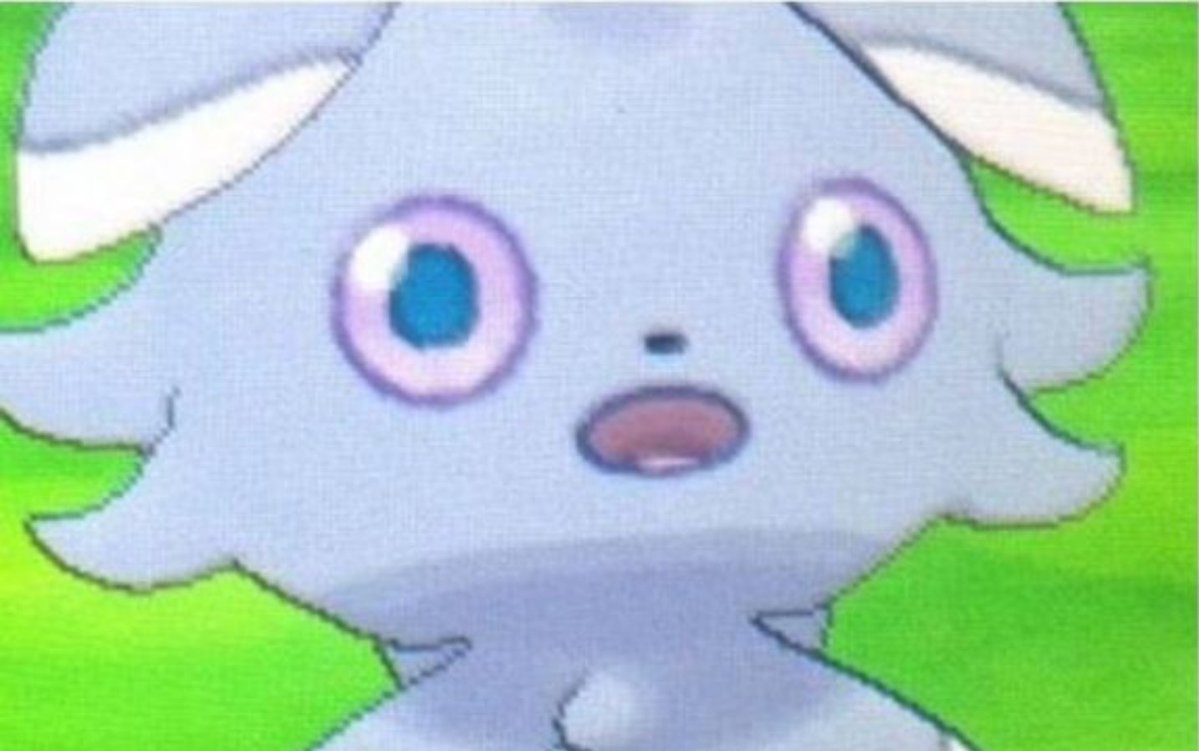 Libre (1%) tweet media