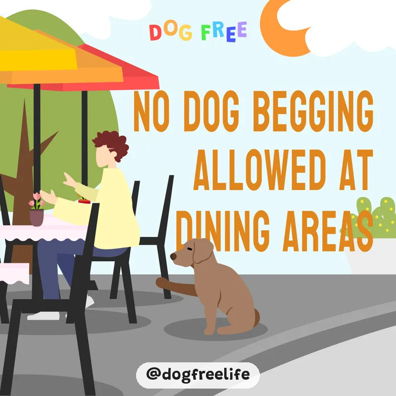 dogfreelife's tweet image. Not everyone at that restaurant want to eat next to a dog begging for food #DogFriendly #DiningEtiquette