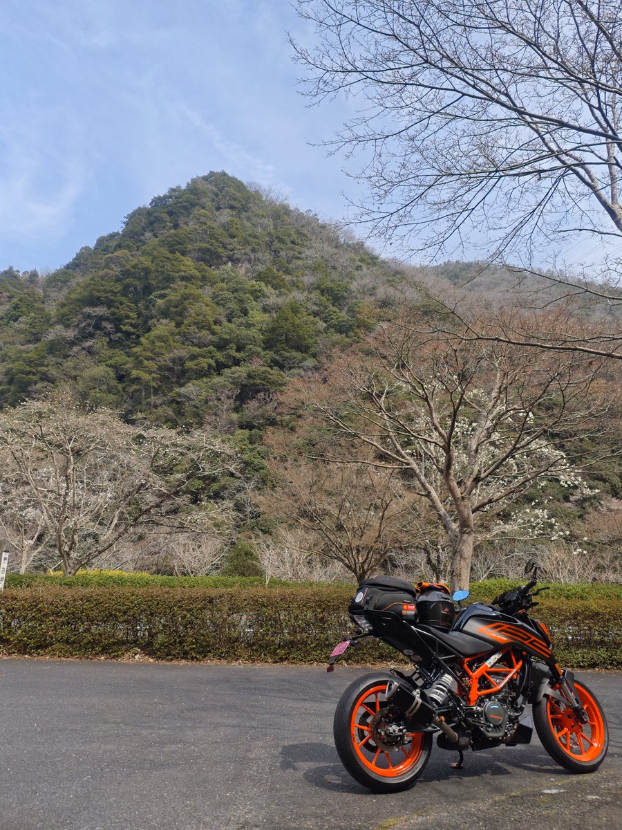 マエダ・マン🏍️💨 tweet media