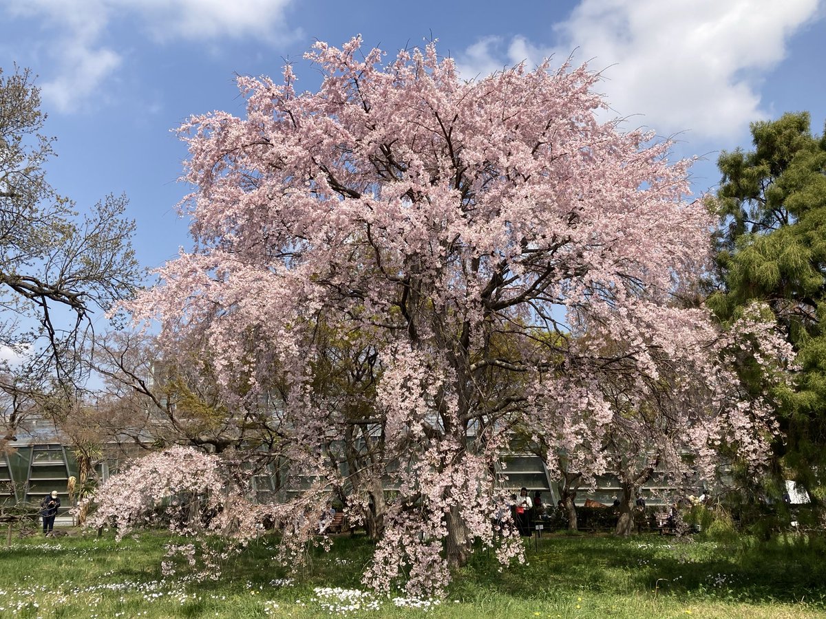 すうじぃ☘️ tweet media