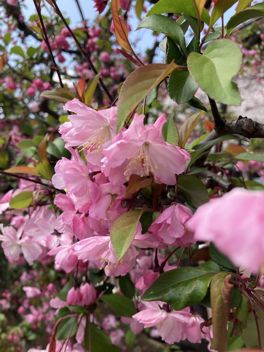 すうじぃ☘️ tweet media