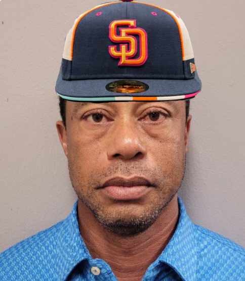 hochalicious's tweet photo. @Padres Current Mood: https://t.co/8UmTpsmvHZ