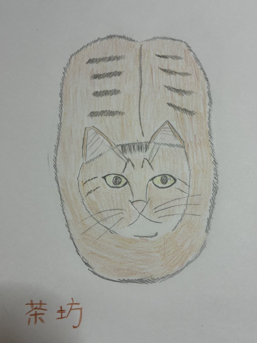 🐈🐾エルサ🐕🐾 tweet media