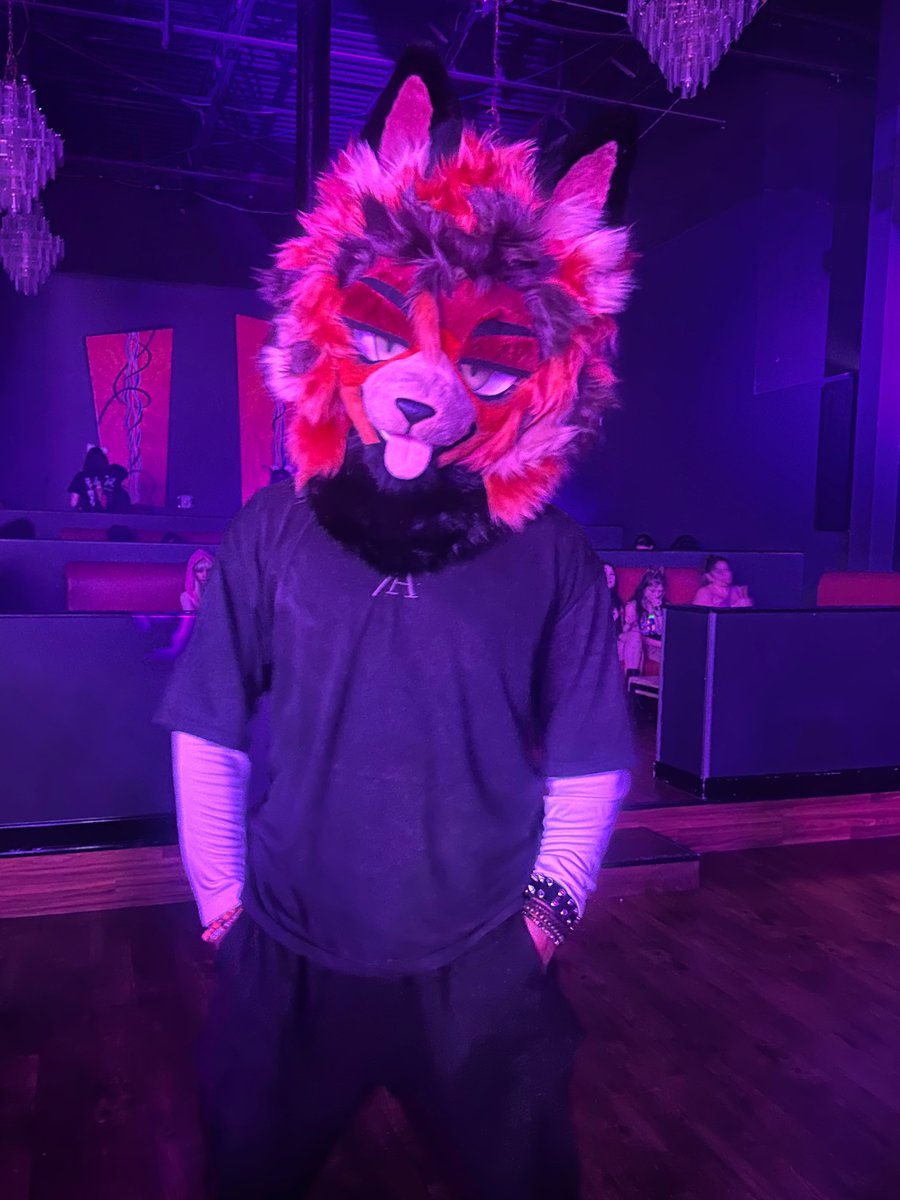 Zeno 🍊 tweet media