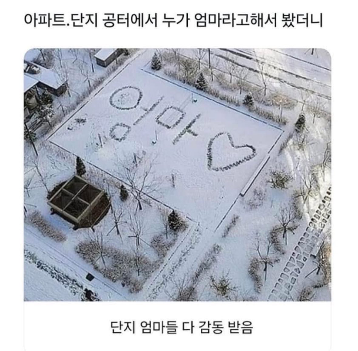 북크북크 tweet media