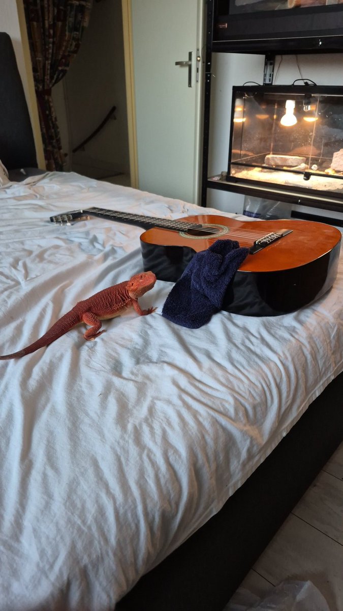 Mighty red dragon tweet media