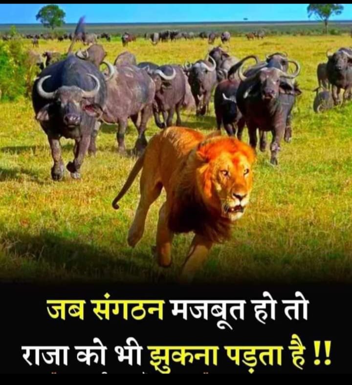 Pratapsingh Suryawansh tweet media