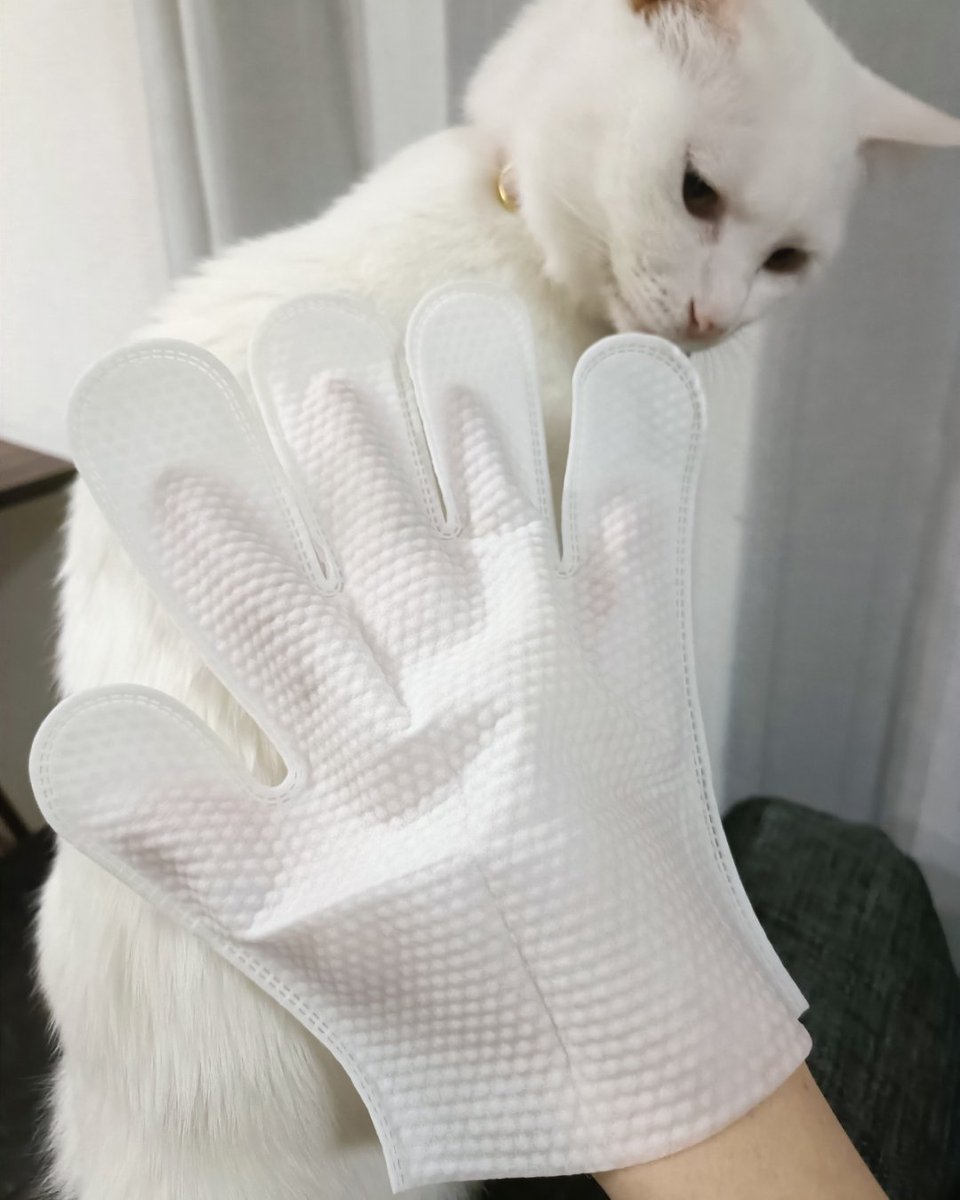 aaamilkyaaa's tweet photo. コエタスのモニターキャンペーンでもらった"what the pet ペット用クリーニンググローブ"についてのレビューです🐱🐶

撫でるだけで翌日サラサラ！
キレイになりました✨️
お風呂が苦手なペットたちにおすすめです🐱

#コエタス #PR
#ペット用クリーニンググローブ　#クリーニンググローブ https://t.co/VPIvNp3hq0